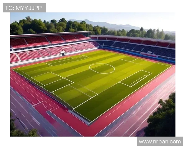 零基础学足球从入门到精通的全面指南助你轻松掌握足球技巧与战术